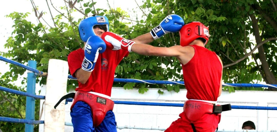 CELEBRAN ANIVERSARIO CON FUNCIÓN DE BOX EN AHOME