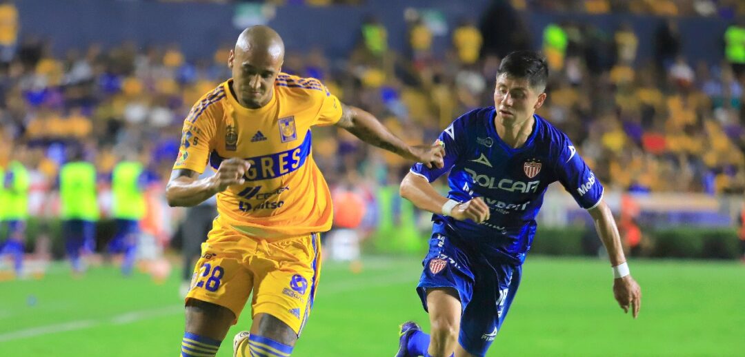 TIGRES Y NECAXA SE ENFRENTAN HOY EN EL REPECHAJE