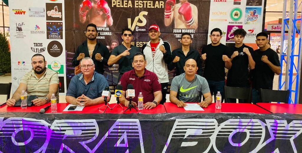 TODO LISTO PARA LA FUNCIÓN DE BOX EN LOS MOCHIS