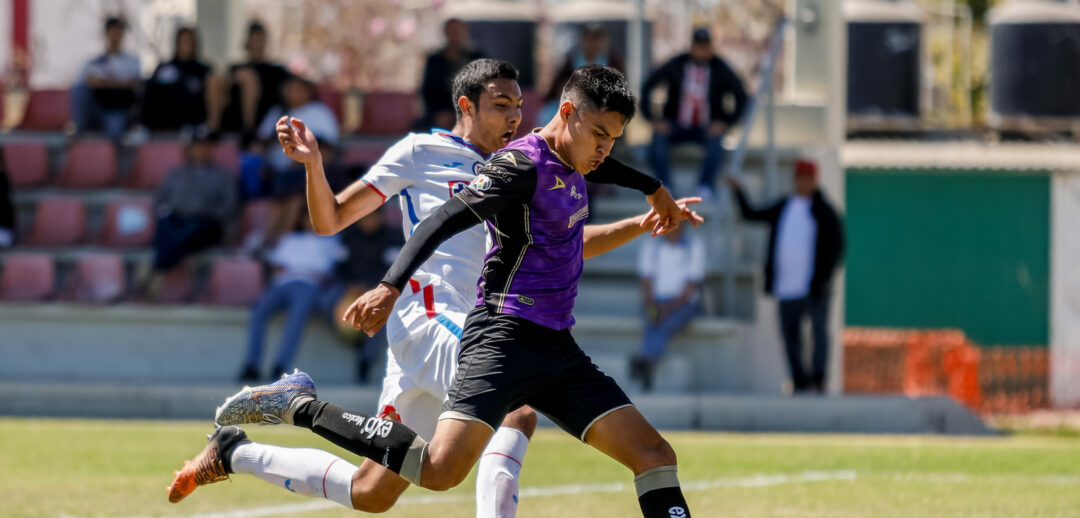 LOS CAÑONEROS BUSCARÁN TALENTO EN MAZATLÁN