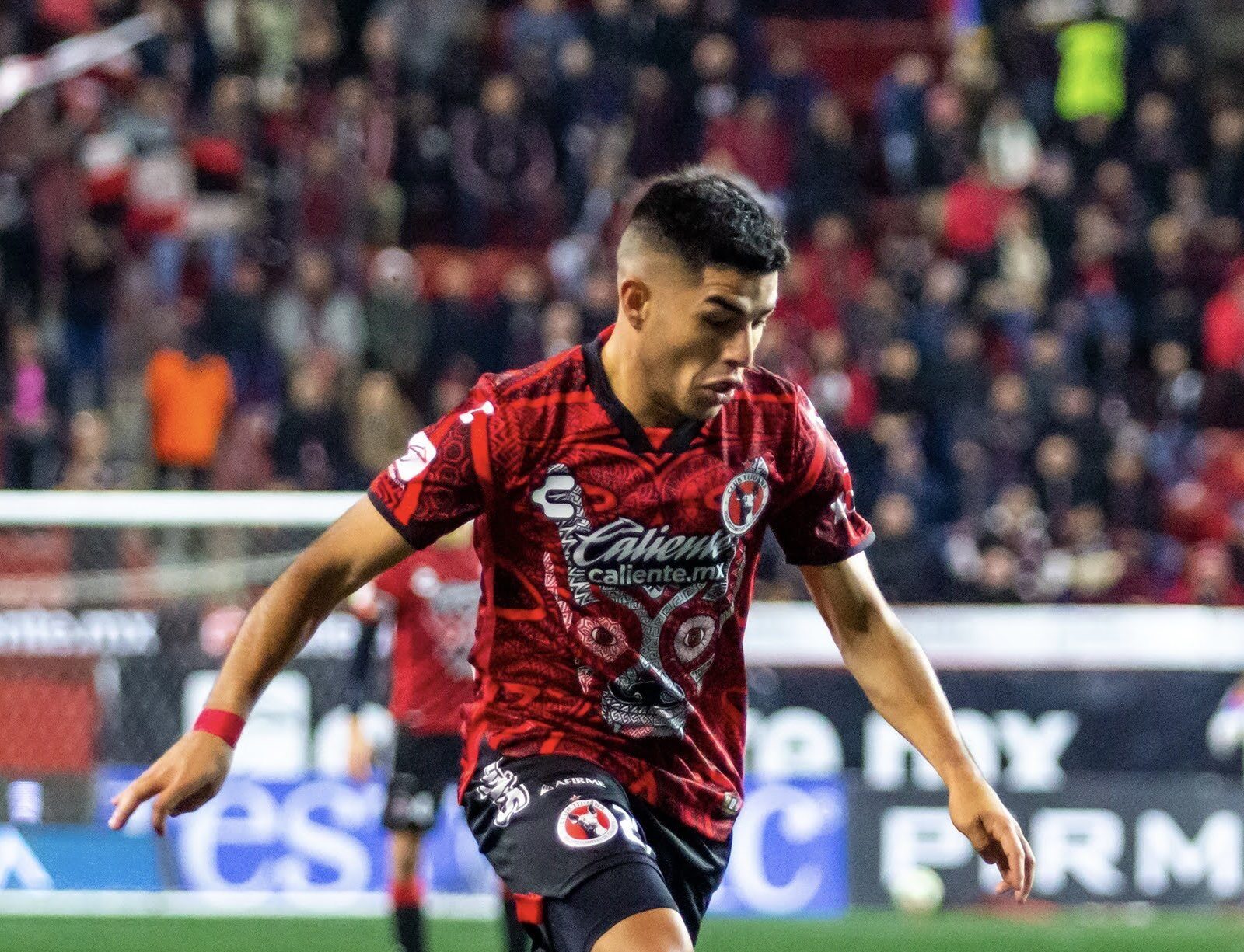 Xolos