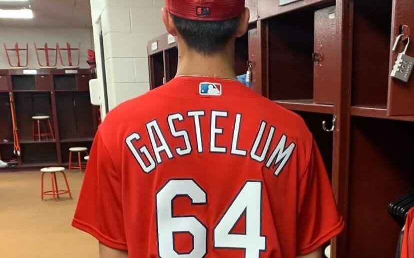 LUIS GASTELUM CARDENALES