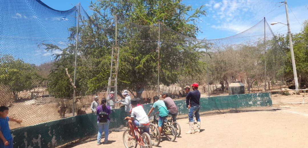 campos de beisbol rural