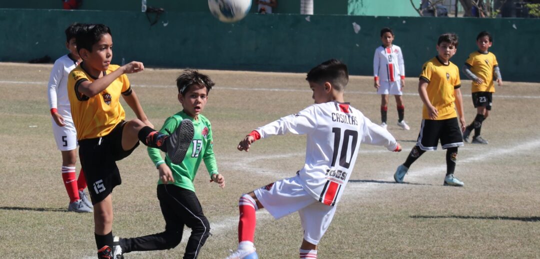 futbol mazatlán osos