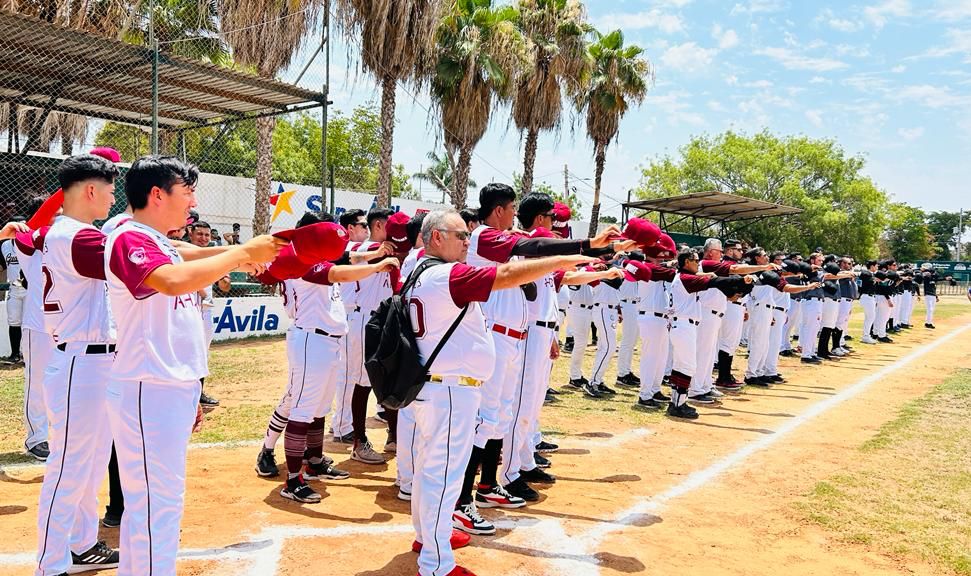 estatal de beisbol