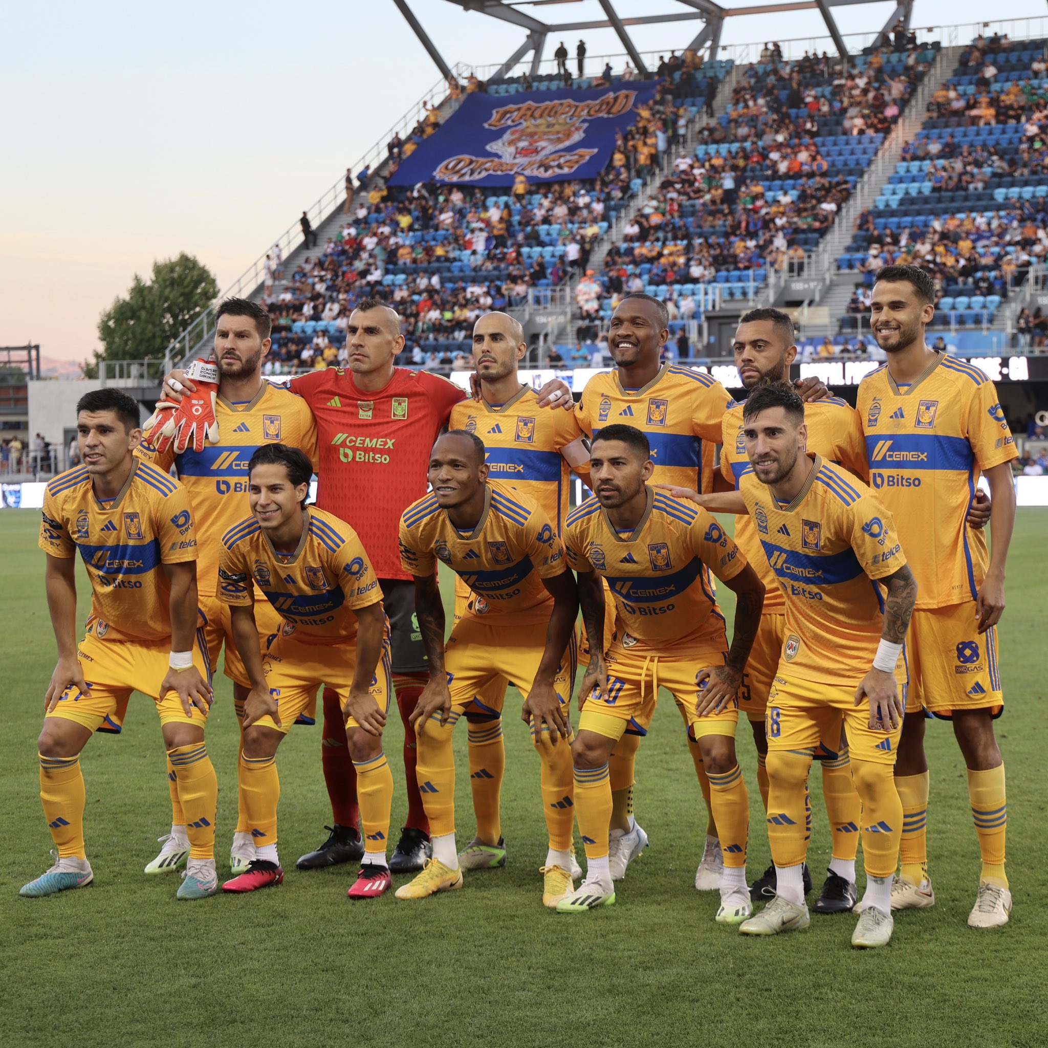 TIGRES