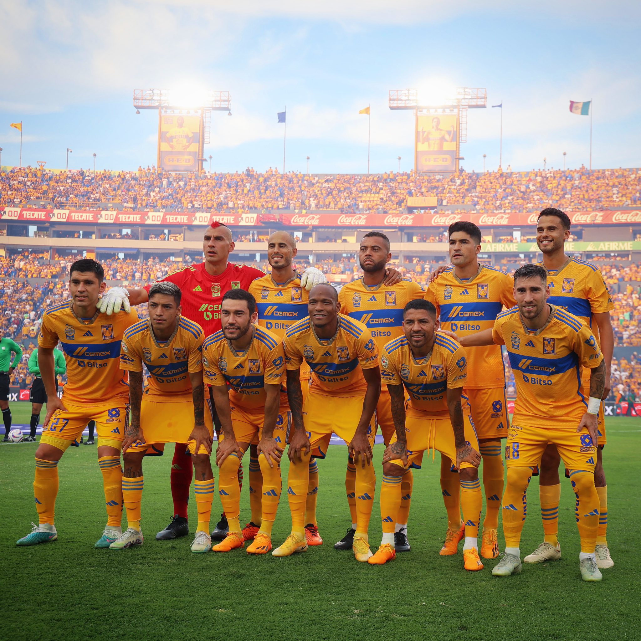 Tigres