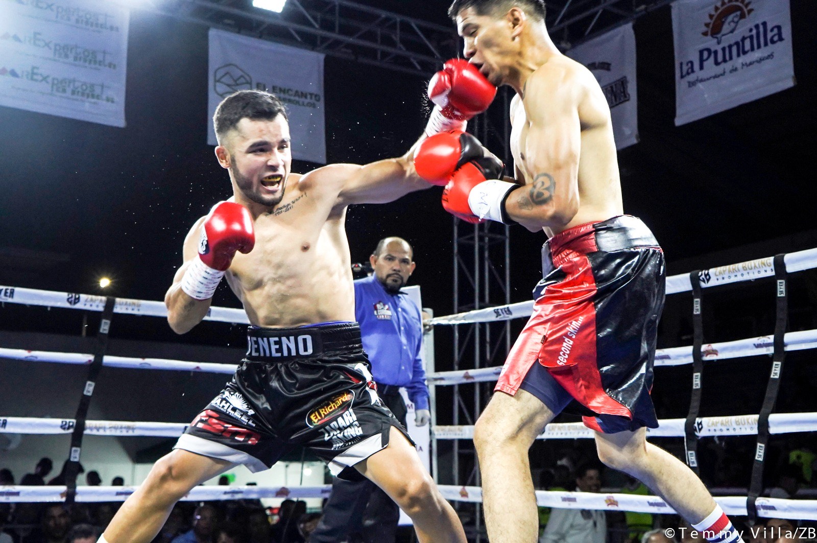 PASOS DE CAMPEÓN PARA EL ESTABLO ZAPARING BOXING