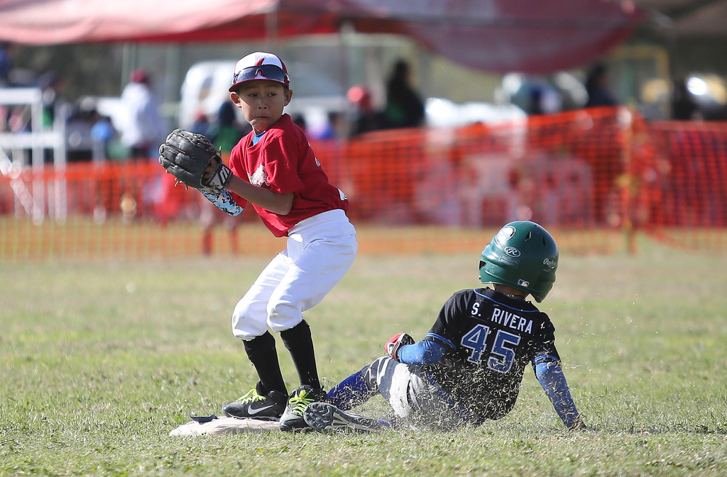 beisbol infantil