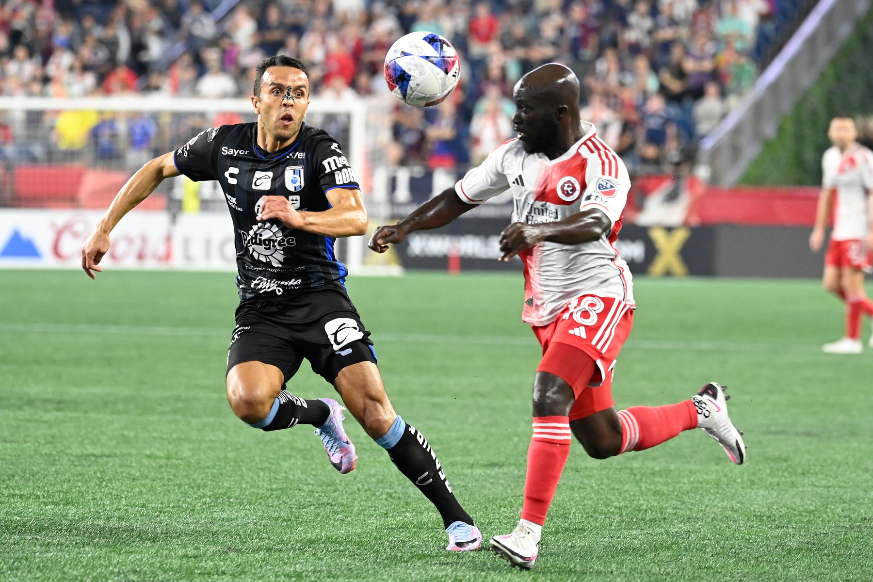 GALLOS BLANCOS DEL QUERÉTARO