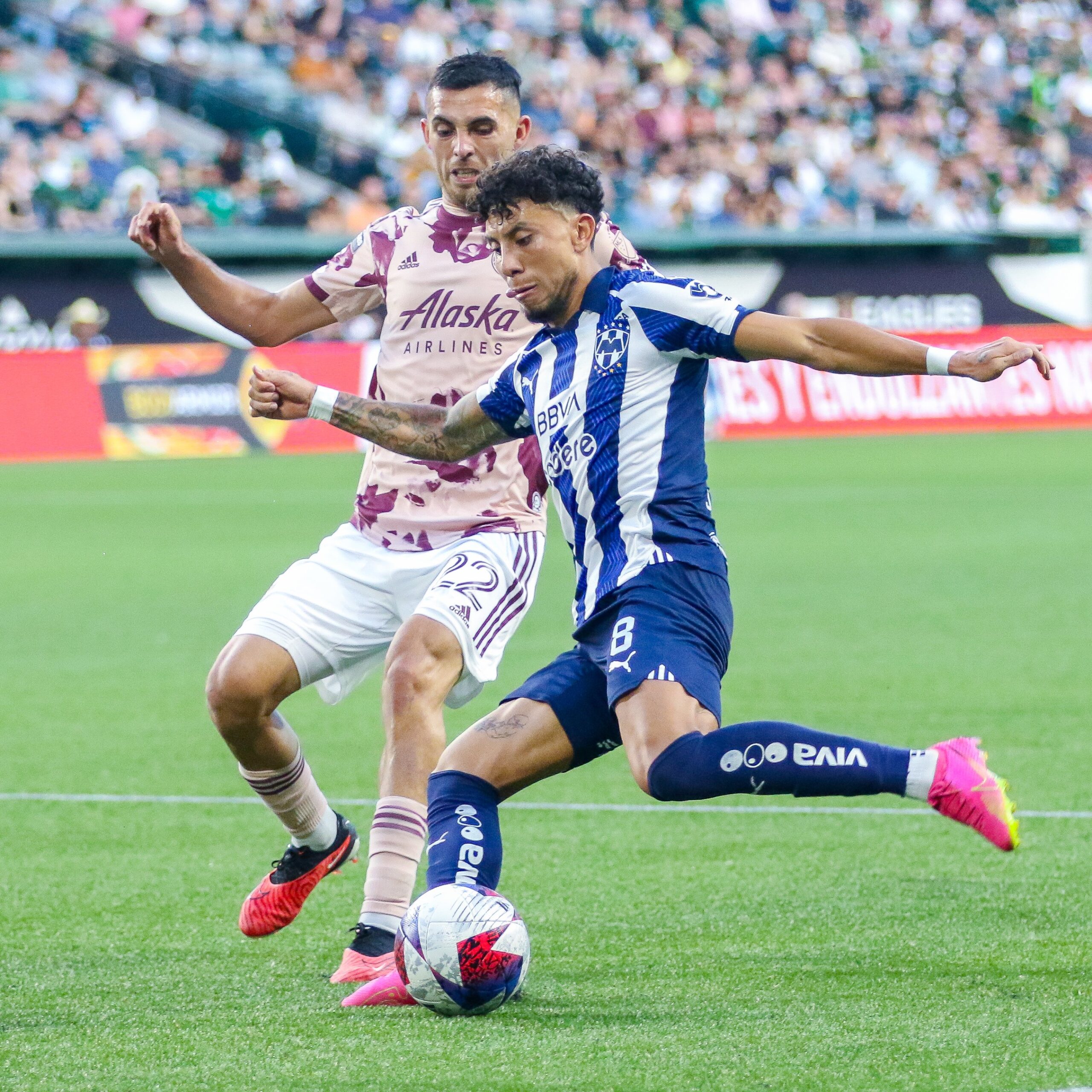 Rayados