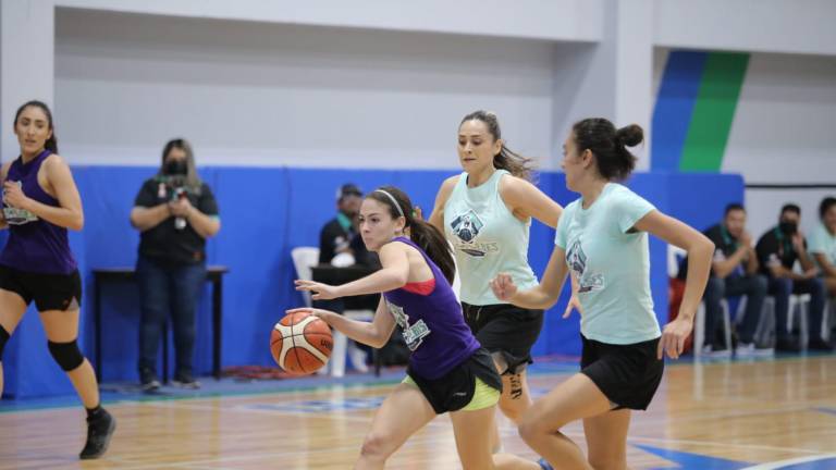 ¿DE QUÉ TRATA EL PROYECTO DE LA LIGA MAYOR FEMENIL DE BASQUETBOL?