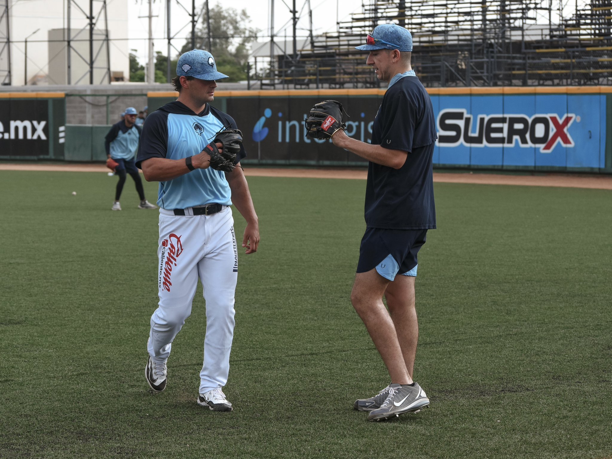 ALGODONEROS DE GUASAVE