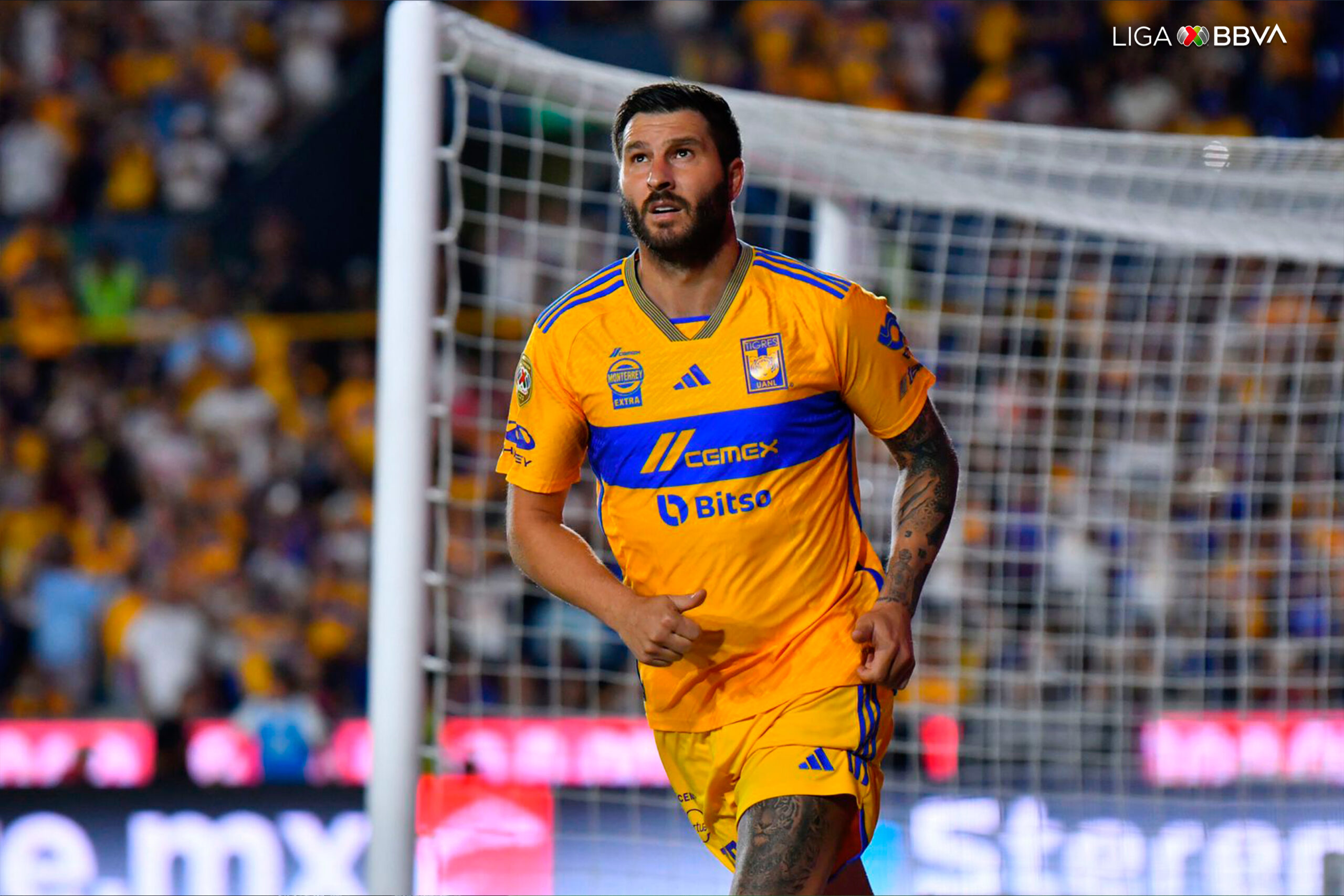 GIGNAC TIGRES