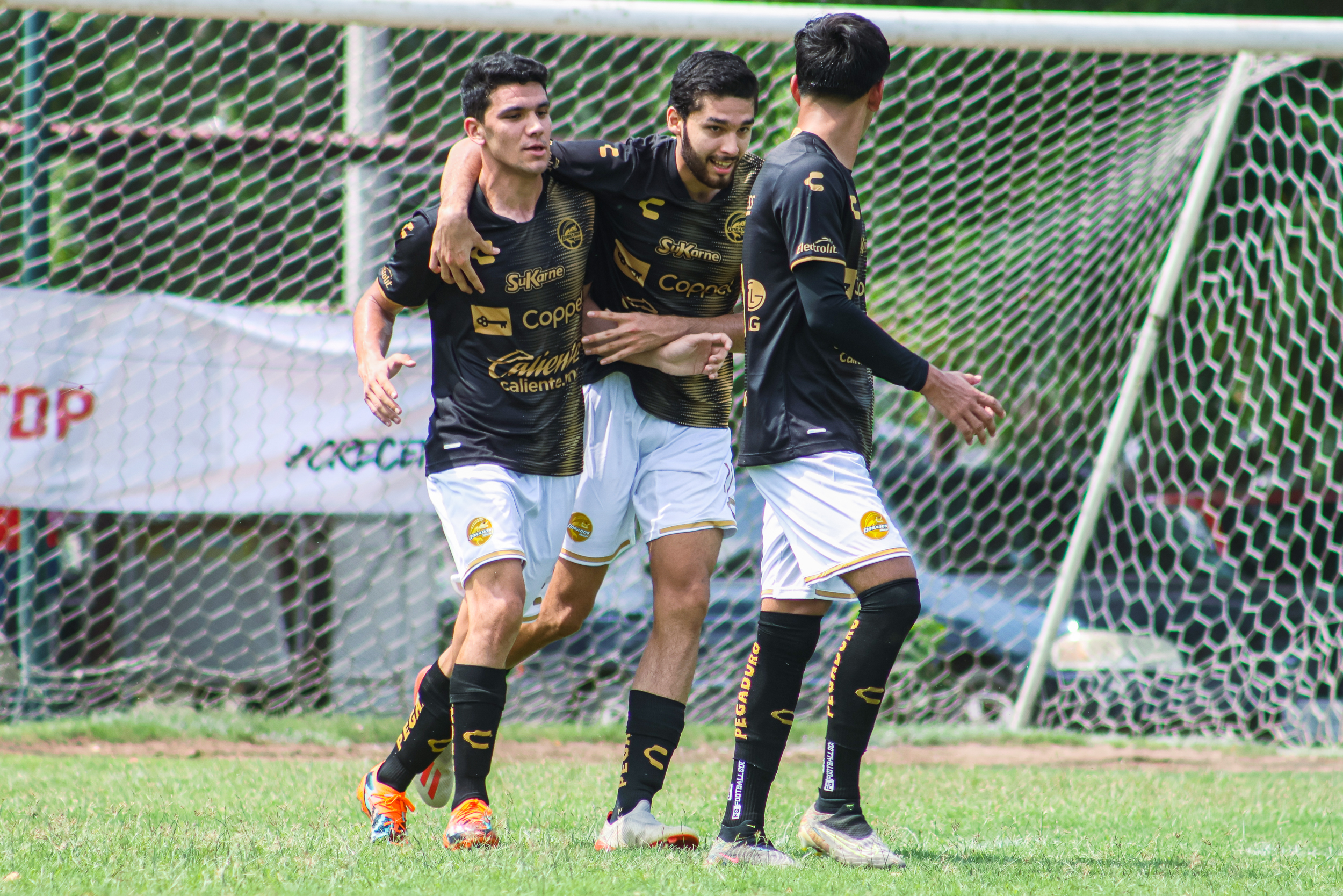 DORADOS TERCERA DIVISIÓN