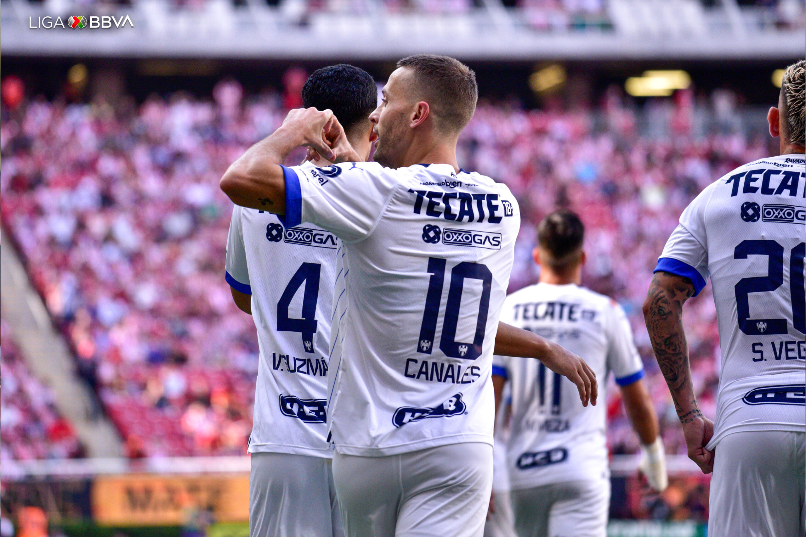 SERGIO CANALES RAYADOS