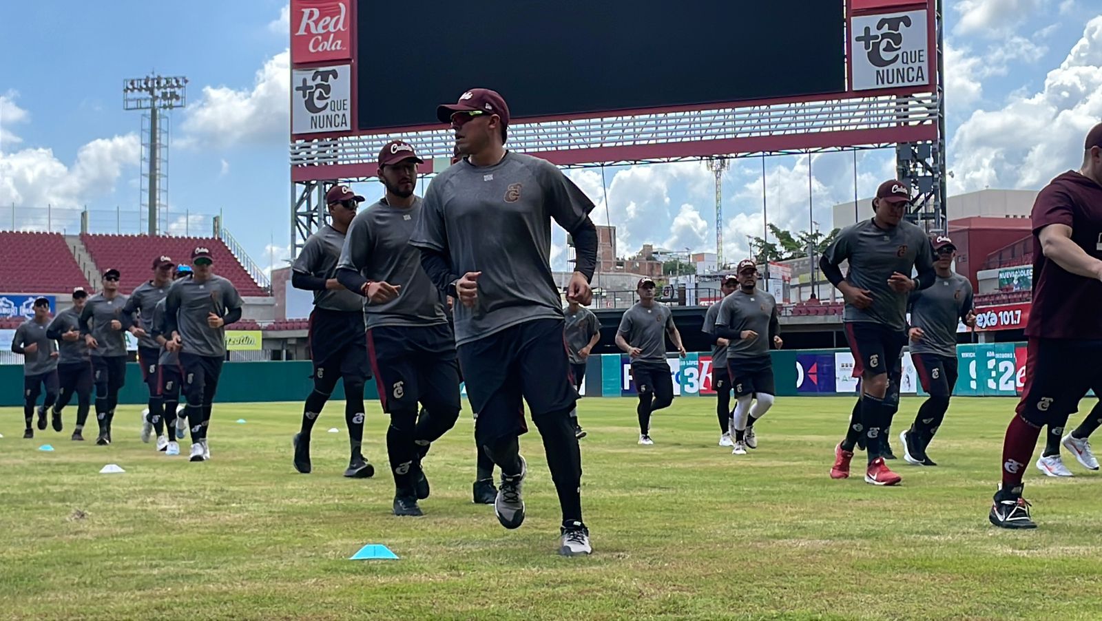 TOMATEROS PRÁCTICA