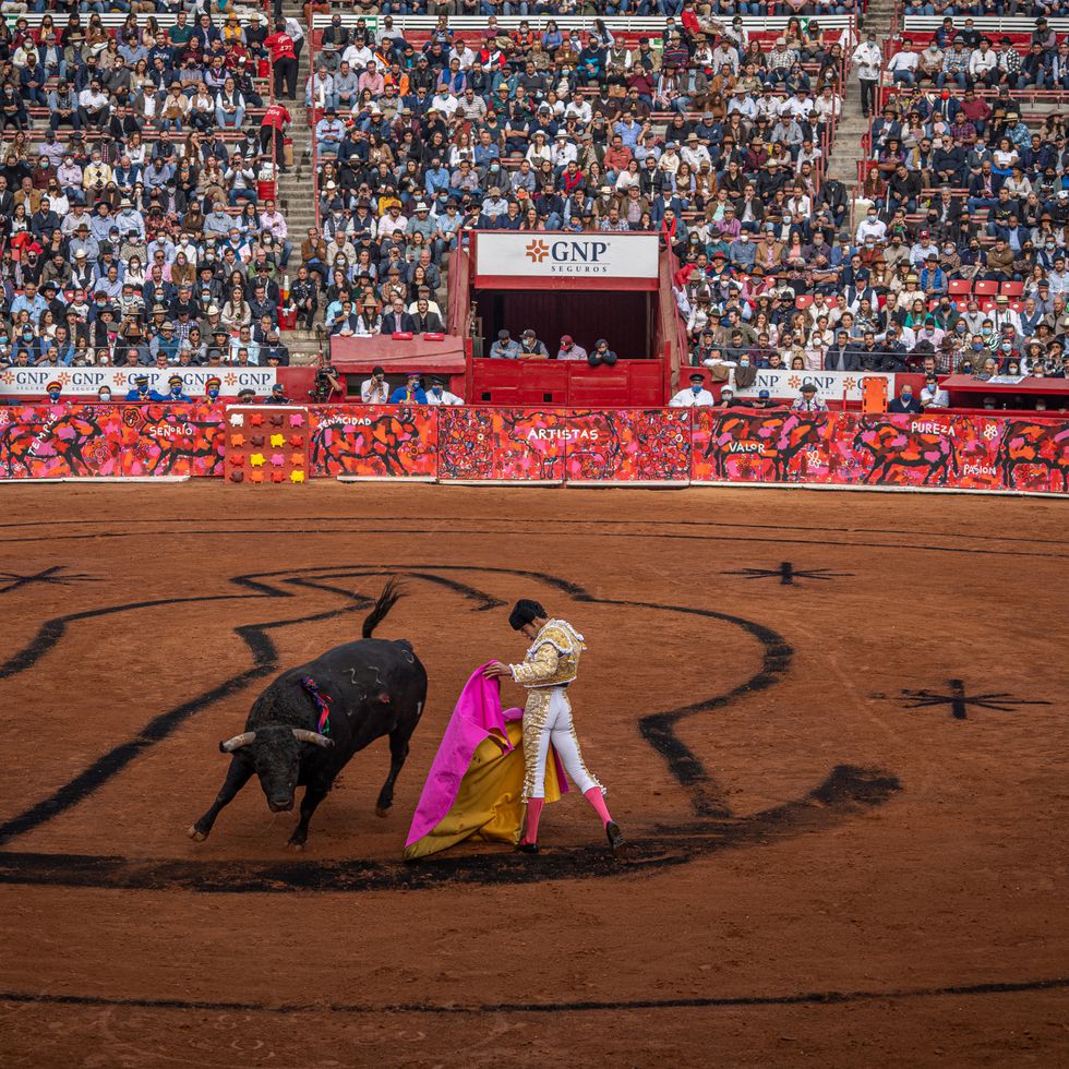 PROPONEN PENAS MÁS DURAS CONTRA LA TAUROMAQUIA