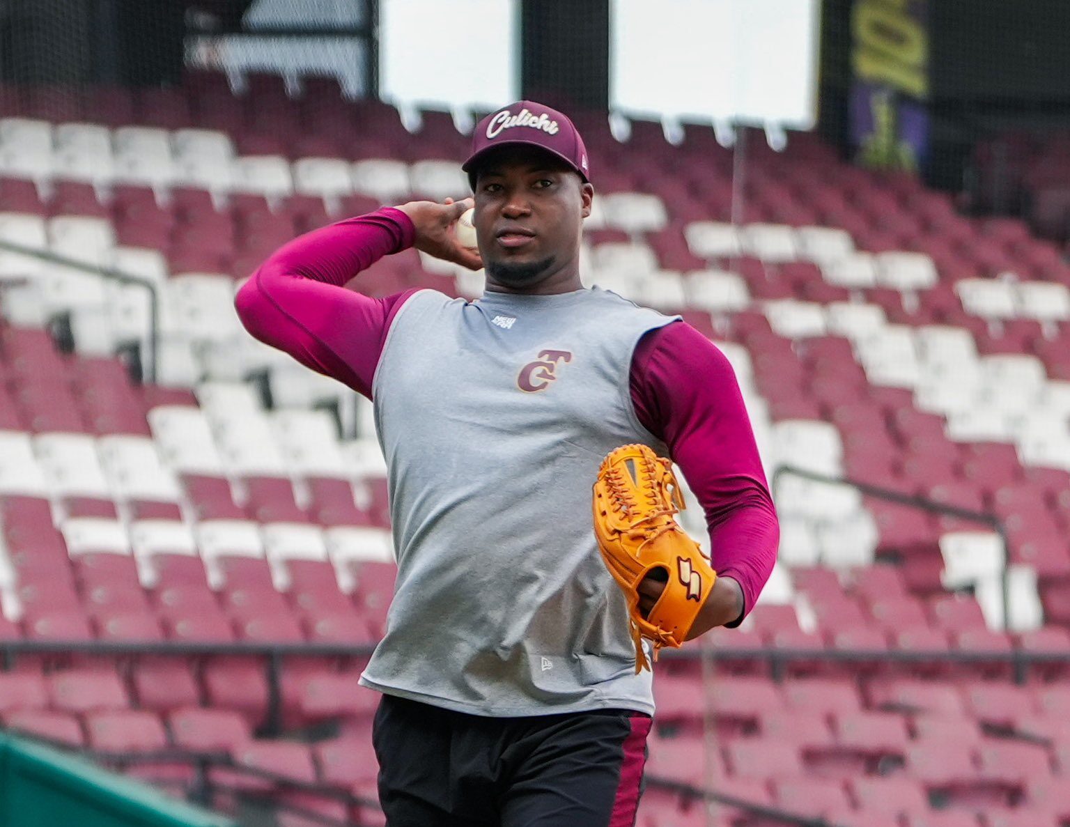 MIGUEL ROMERO, TOMATEROS