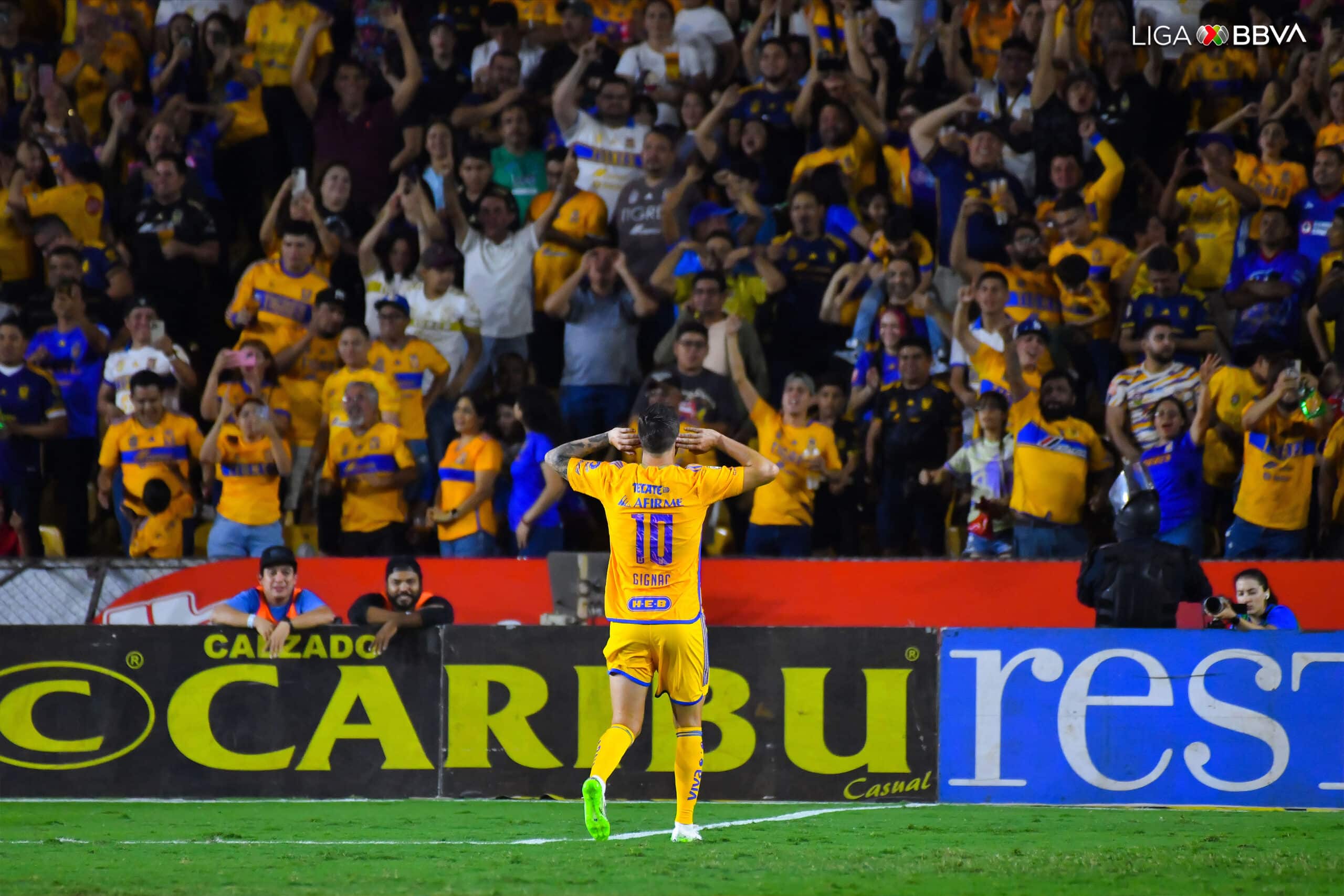 Tigres Andre-Pierre Gignac