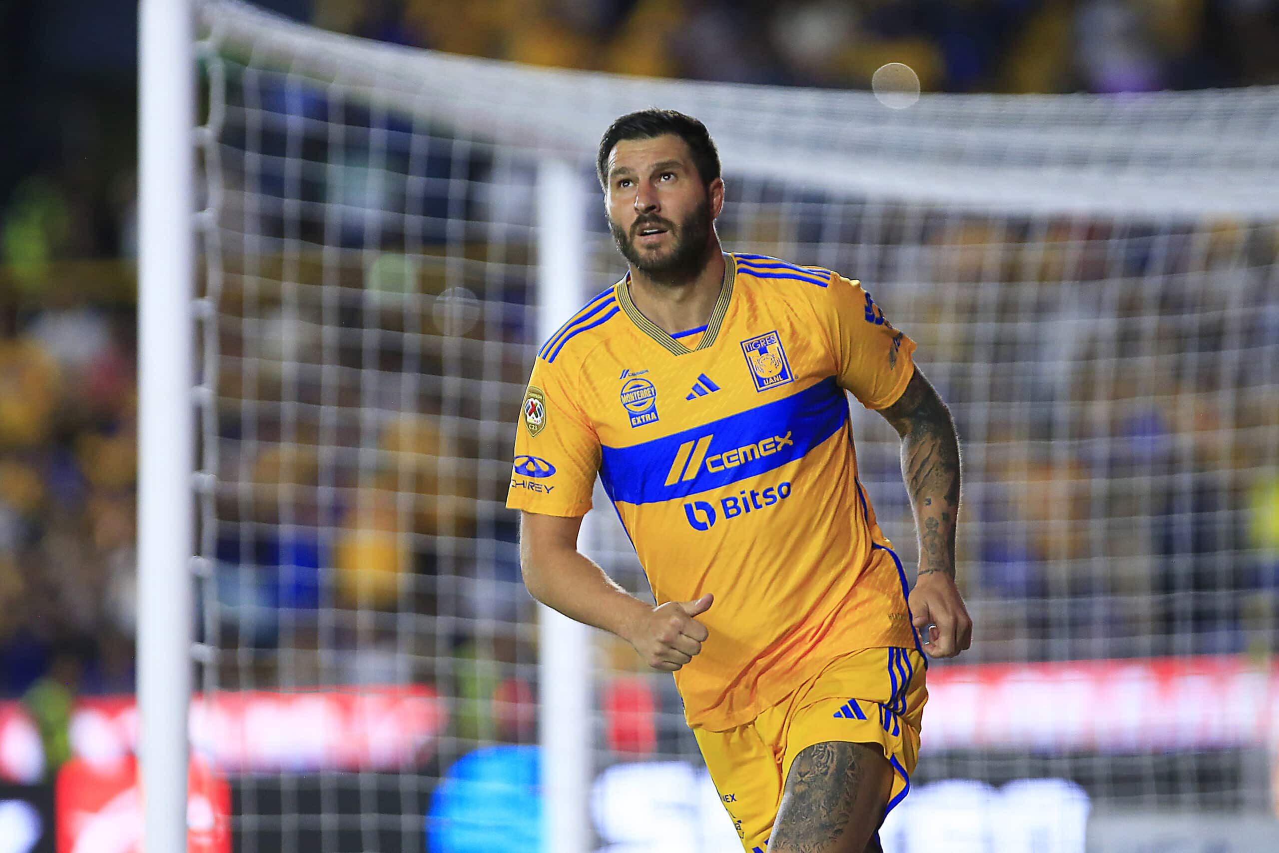 André-Pierre Gignac del Tigres en festejo después de anotar el tercer gol de su equipo durante la Jornada 7 del Torneo Apertura 2023.