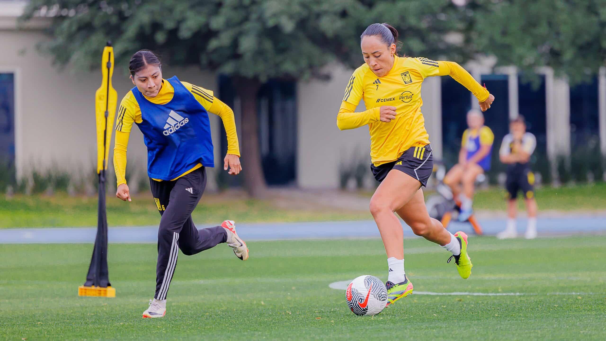 TIGRES FEM CL2024