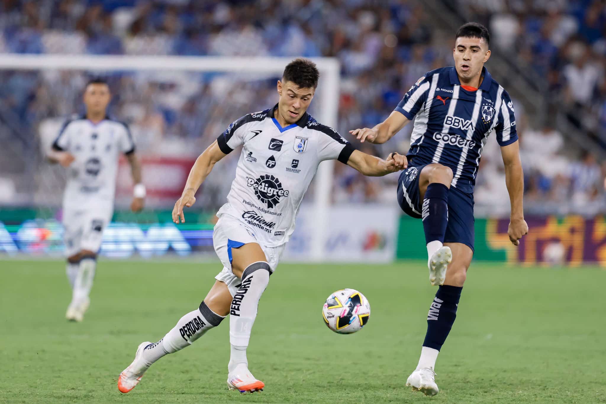 GALLOS VS RAYADOS