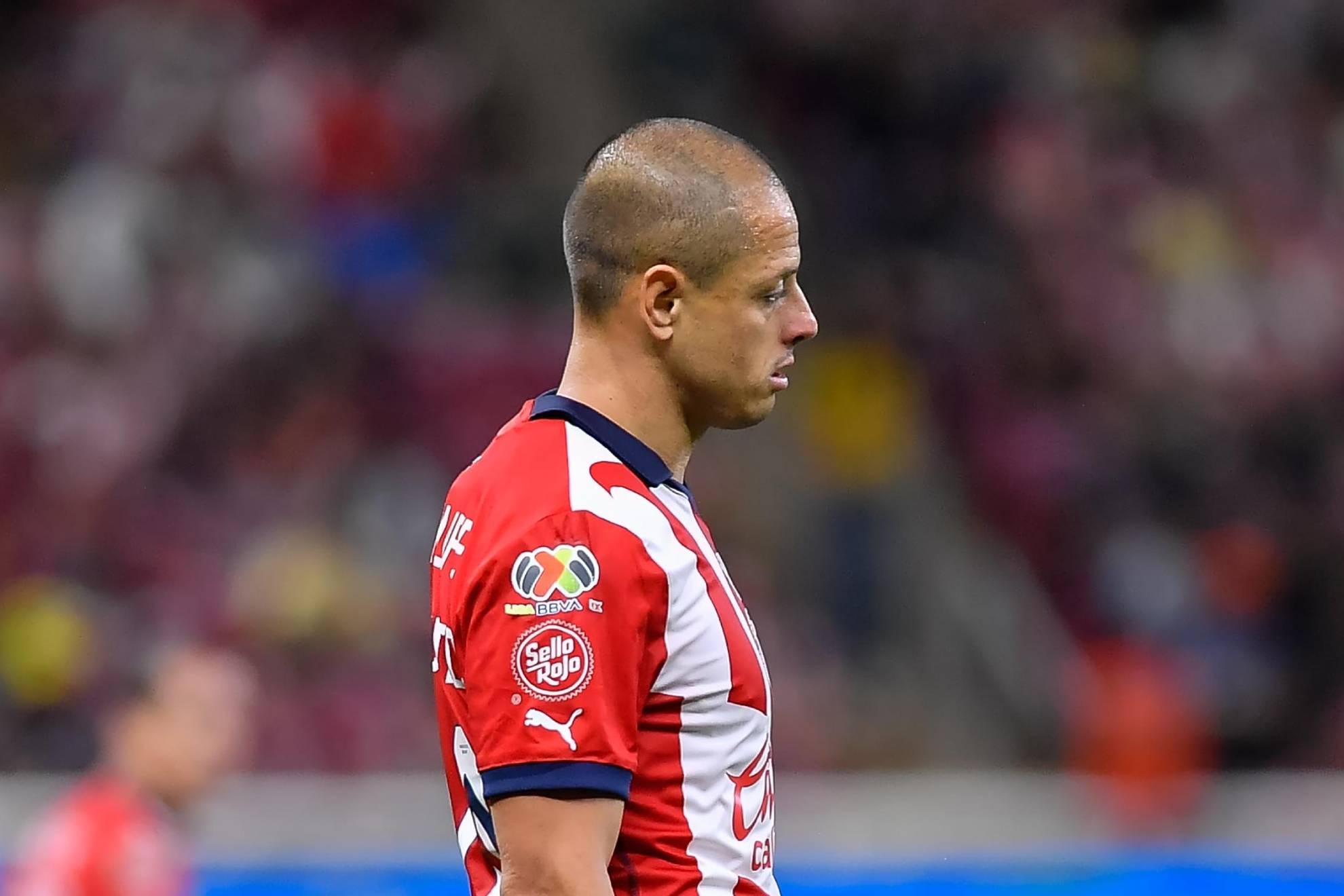 Javier Hernández en partido con el torneo Apertura 2024.