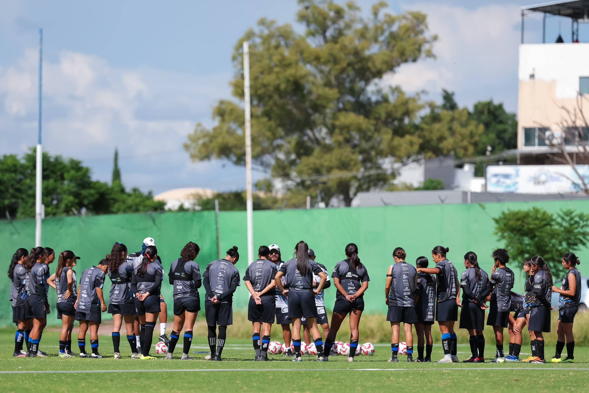 GALLOS FEMENIL AP2024