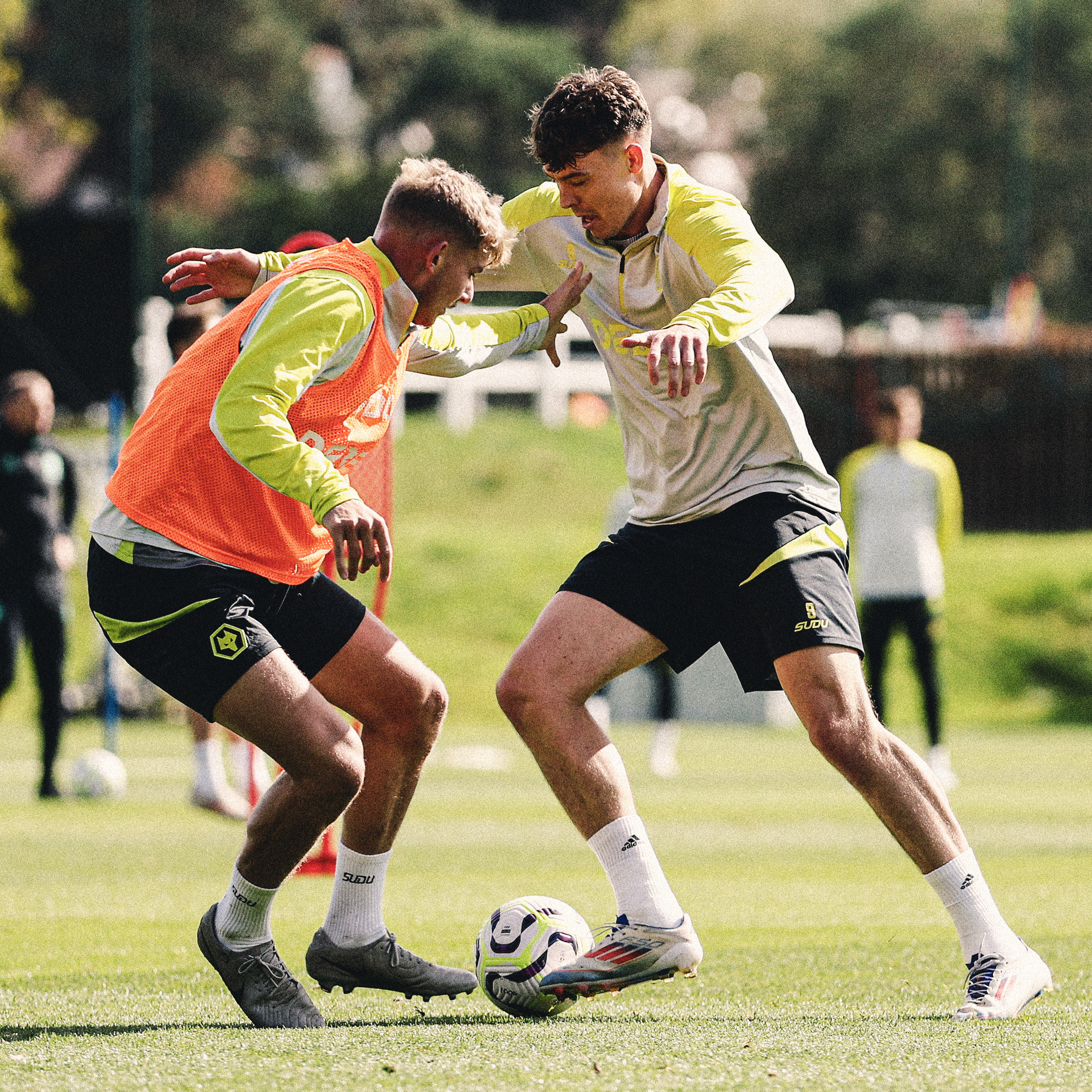 Jugadores del Wolverhampton en entrenamiento.