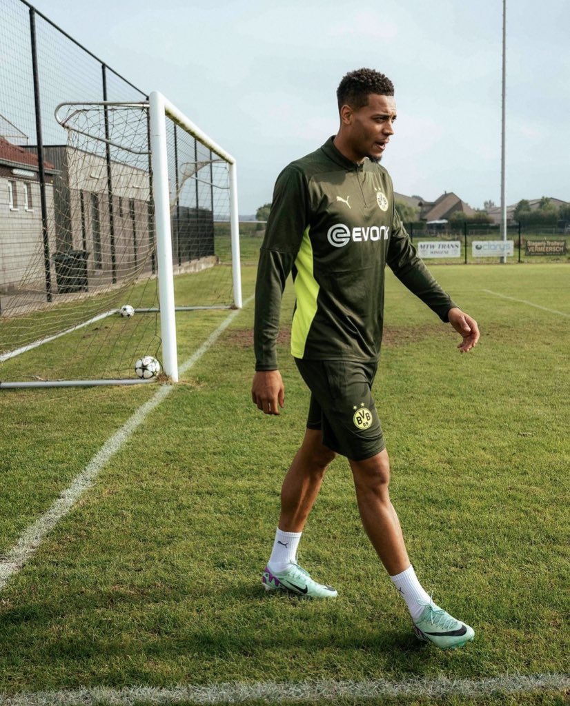 El Dortmund entreno en un campo “situado entre un prado lleno de vacas y un campo de maíz.