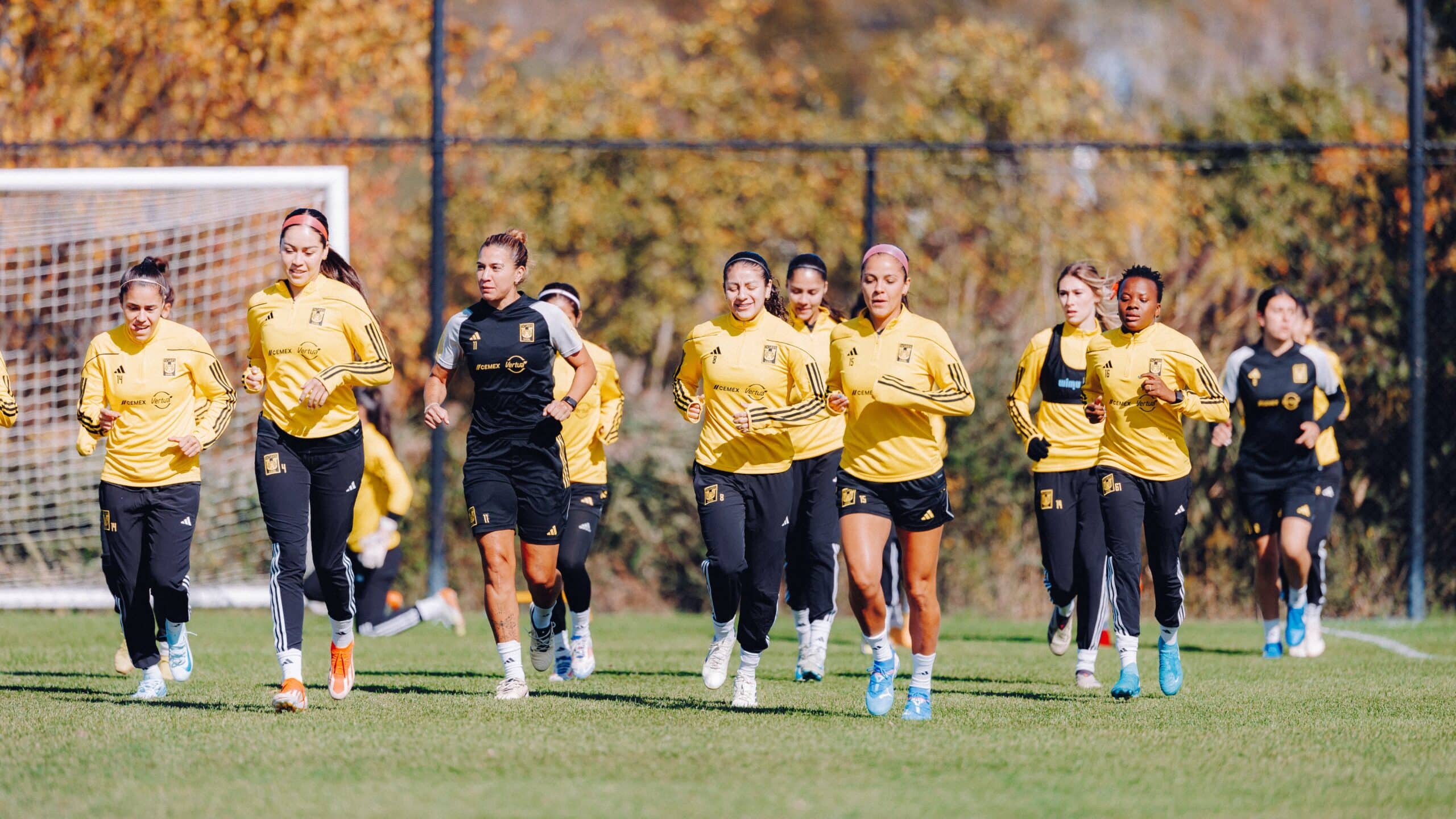 TIGRES FEMENIL 2024