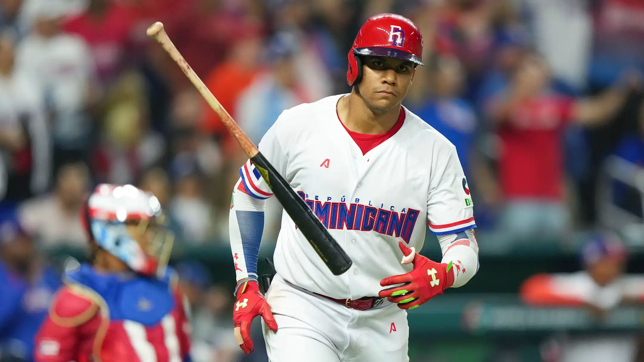 JUAN SOTO CON EL CUADRO DE DOMINICANA