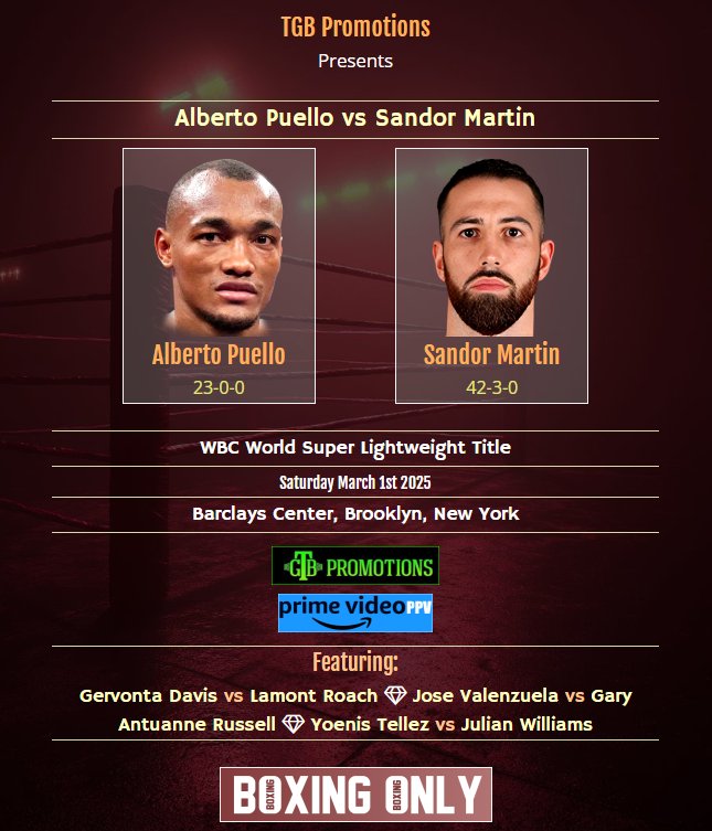 Alberto Puello vs Sandor Martin; por el título Mundial Superligero WBC.