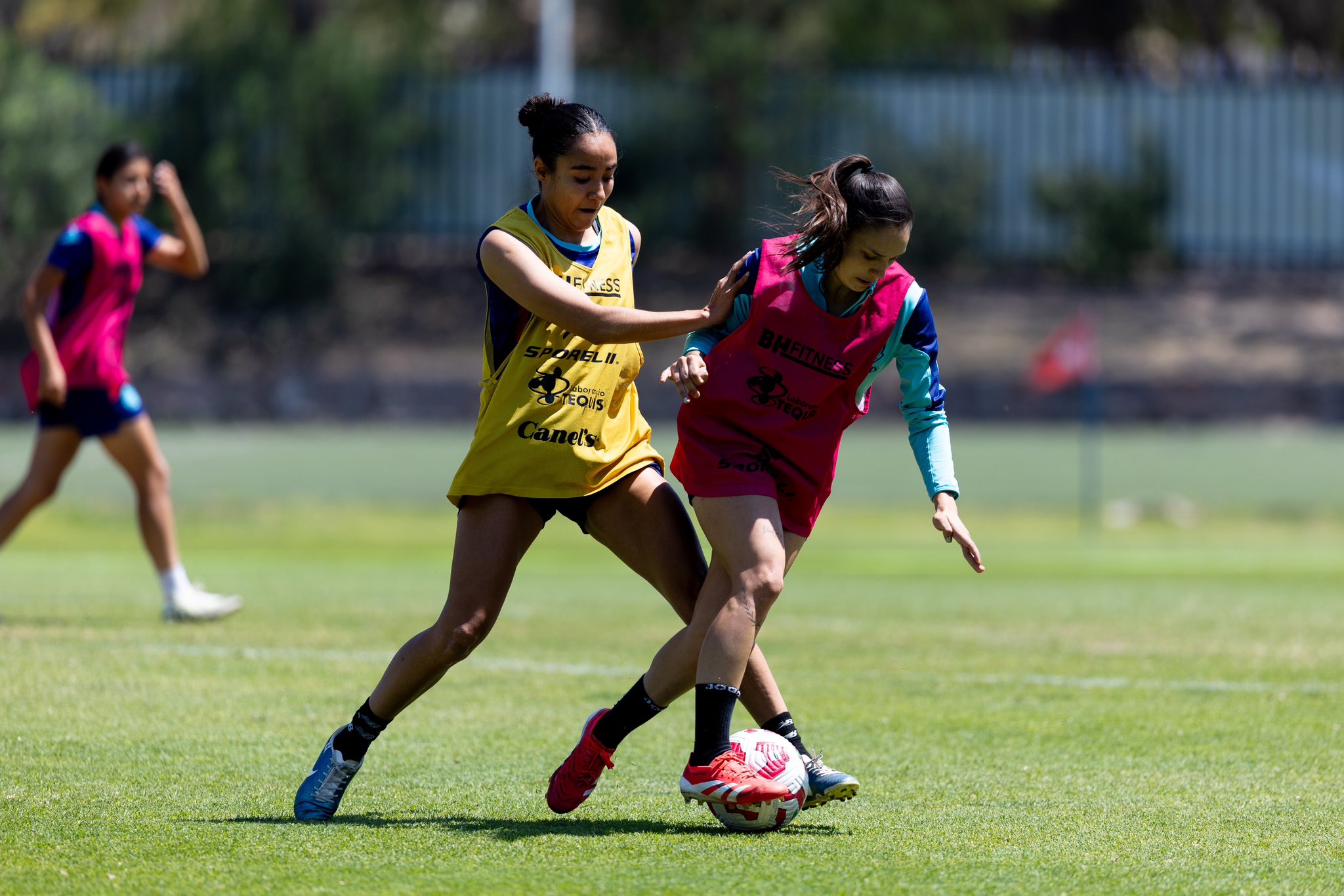 ATLÉTICO SAN LUIS FEMENIL J14 LIGA MX FEMENIL