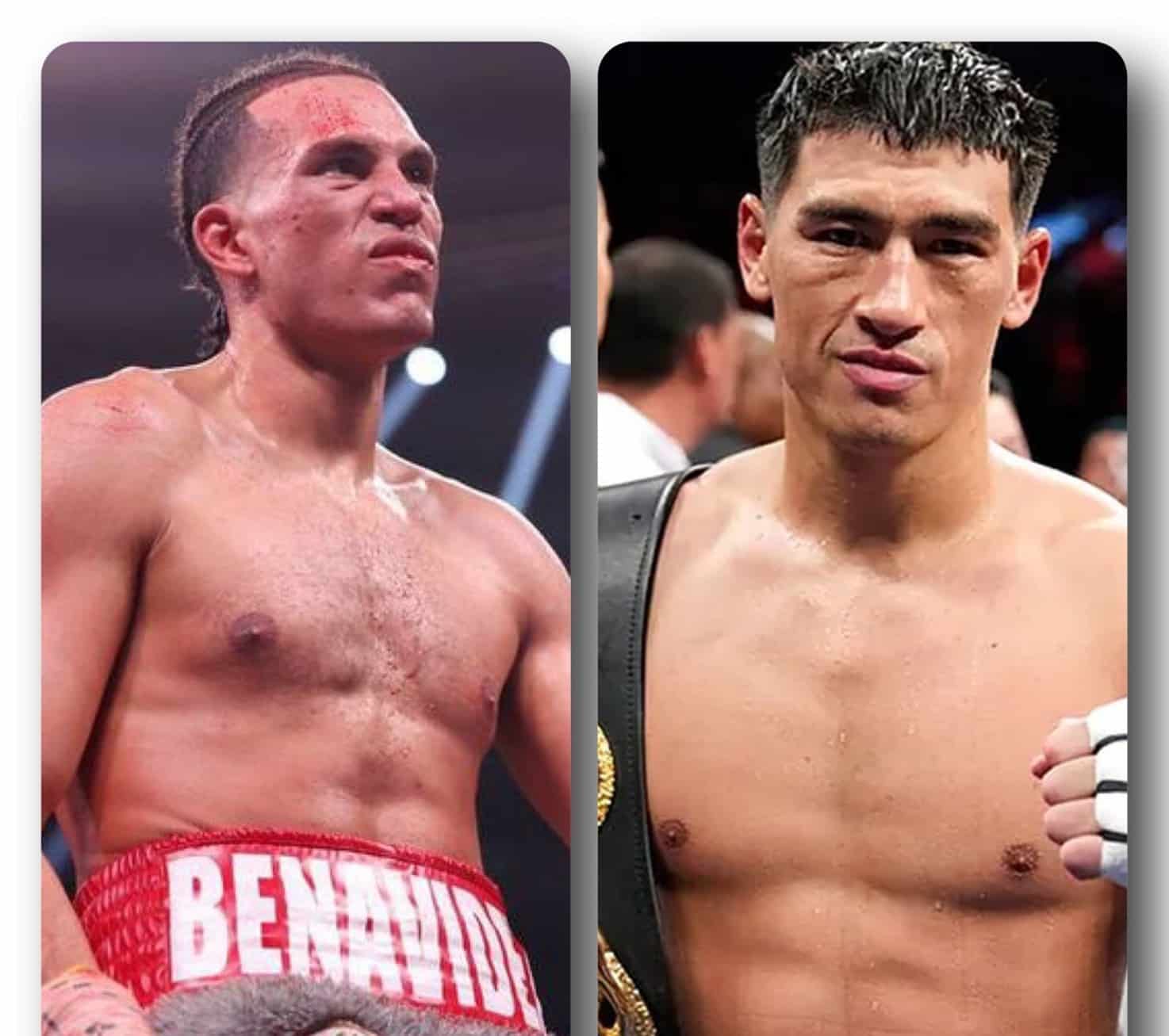 Turki Alalshikh ya no está interesado en una pelea entre Dmitry Bivol y David Benavidez para finales de este año.